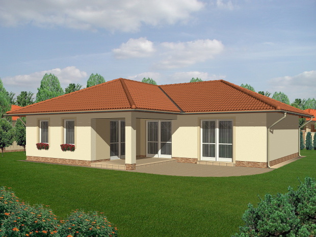 Array - perspektiva PL